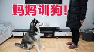 狗哥爆料新鞋视频播放,新鞋视频播放,潮流新品抢先看! 第1张 狗哥爆料新鞋视频播放,新鞋视频播放,潮流新品抢先看! 第1张